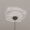 Ekena Millwork Hamilton Ceiling Medallion (Fits Canopies up to 3 3/4"), 17 3/8"OD x 1 3/4"P, Primed White CM17HA - alternate 6